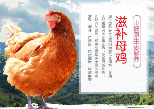 孟良崮自然生態養殖