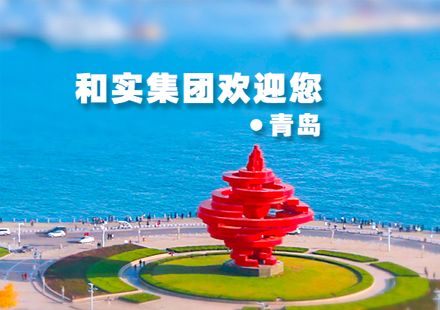 山東和實集團